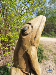 Geschnitzer Frosch im Himmelmoor Quickborn