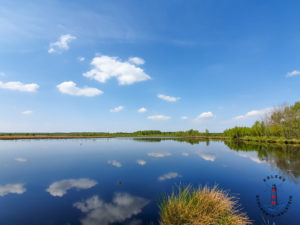 Spiegelsee im Himmelmoor Quickborn