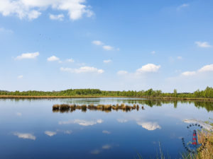 Spiegelsee im Himmelmoor Quickborn