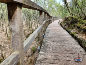 Bohlenweg im Himmelmoor