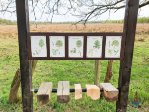 Erlebnisstation im Quickborner Himmelmoor