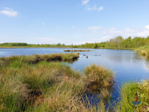 See im Himmelmoor in Quickborn