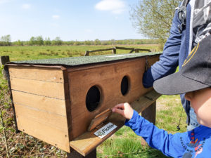 Erlebnisstation im Himmelmoor Quickborn