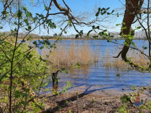 Aussicht und Wandern am Bokeler See, Mühlensee