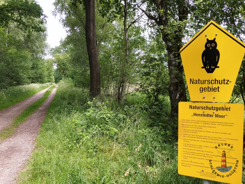 Wanderweg durchs Naturschutzgebiet Henstedter Moor