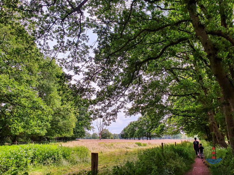 Wanderweg zur der Alsterquelle