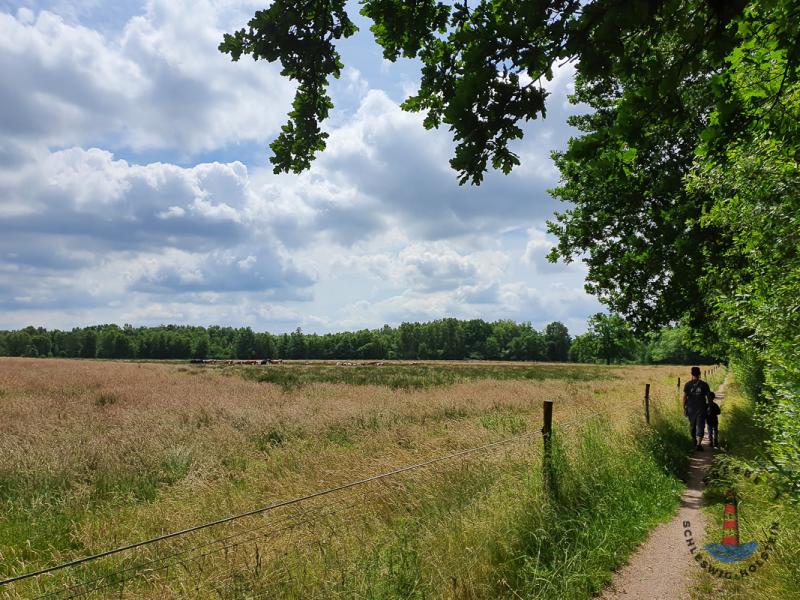 Wanderweg an der Alsterquelle