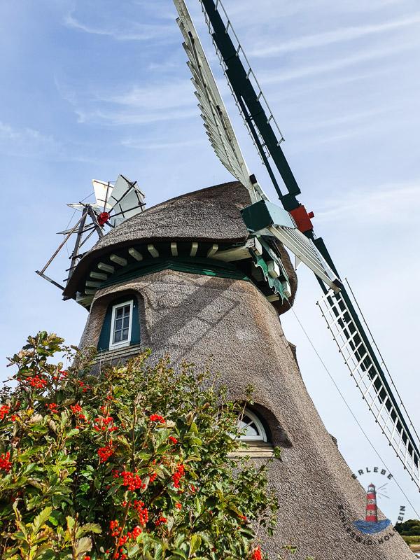 Mühle Charlotte im Geltinger Birk