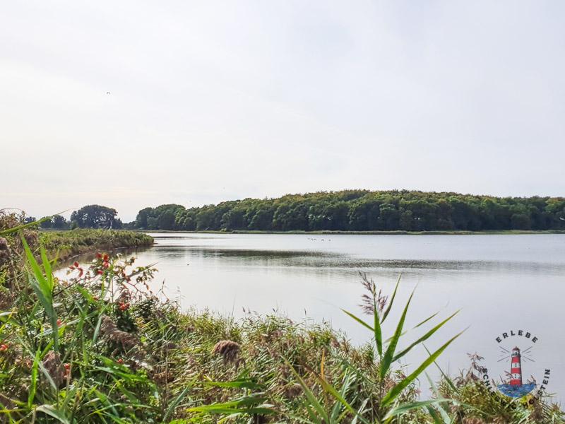 Landschaft im Geltinger Birk