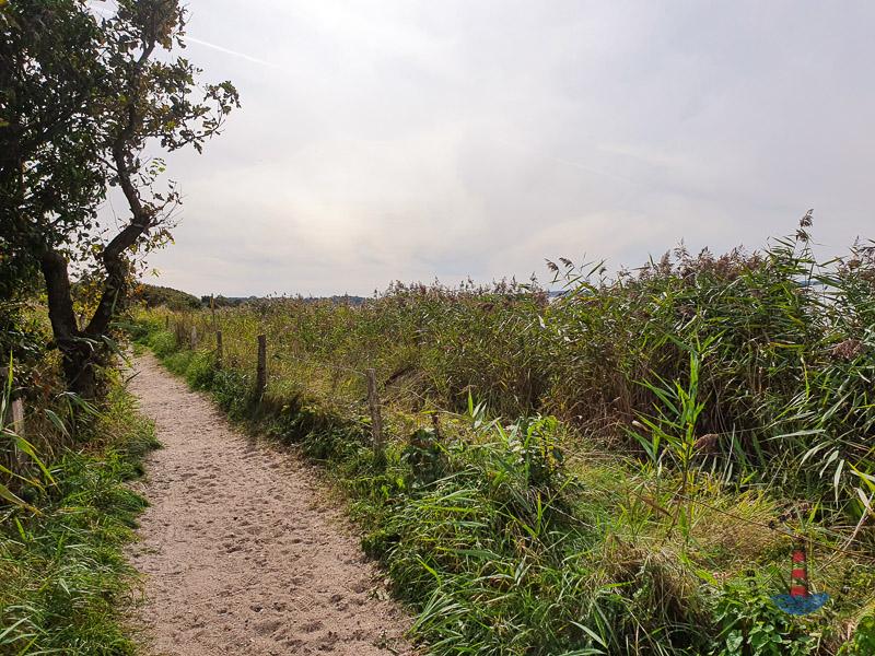 Landschaft im Geltinger Birk