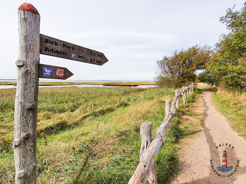 Wanderweg im Geltinger Birk