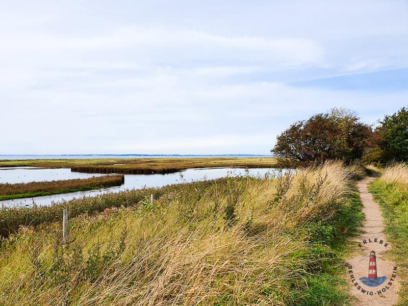 Landschaft im Geltinger Birk