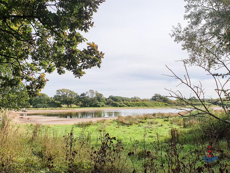 Landschaft im Geltinger Birk