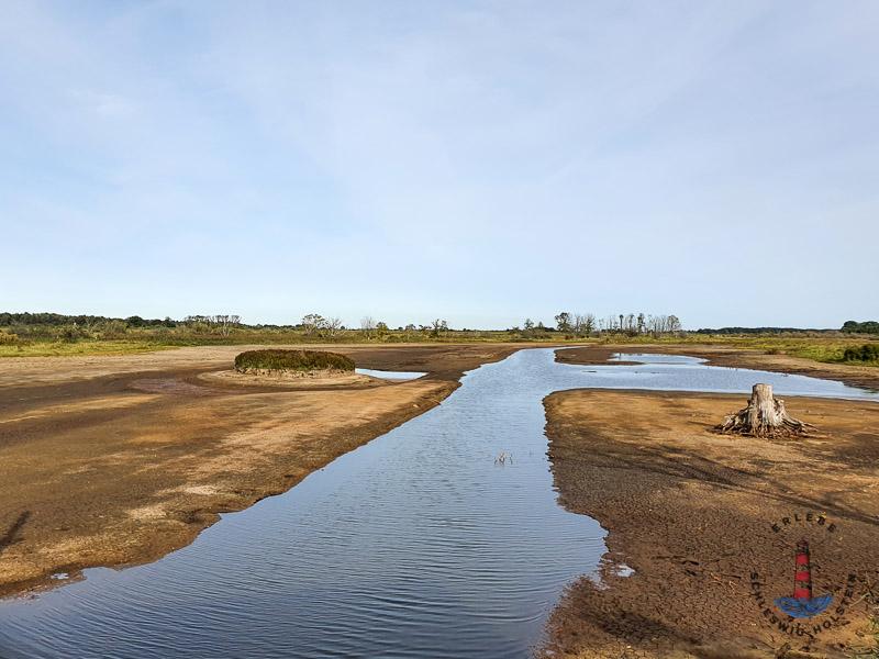 Landschaft im Geltinger Birk