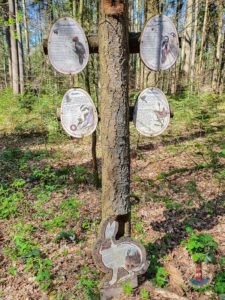 Wanderweg Mönkloh Waldlehrpfad Hasselbusch