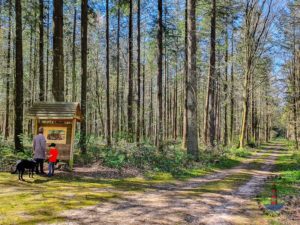 Wanderweg Mönkloh Waldlehrpfad Hasselbusch