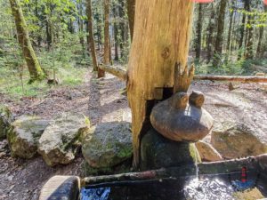 Wanderweg Mönkloh Waldlehrpfad Hasselbusch Quelle