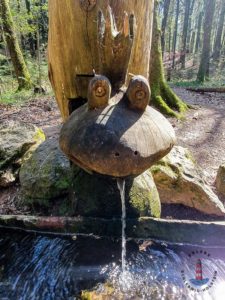 Wanderweg Mönkloh Waldlehrpfad Hasselbusch Quelle