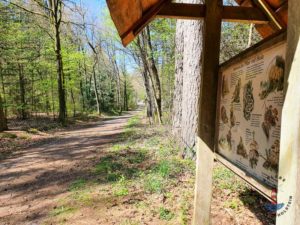 Wanderweg Mönkloh Waldlehrpfad Hasselbusch