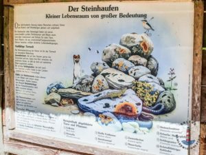 Wanderweg Mönkloh Waldlehrpfad Hasselbusch