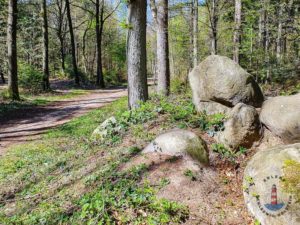 Wanderweg Mönkloh Waldlehrpfad Hasselbusch