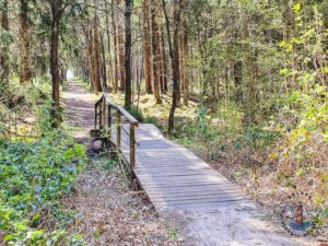 Wanderweg Mönkloh Waldlehrpfad Hasselbusch Brücke
