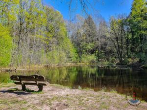 Wanderweg Mönkloh Waldlehrpfad Hasselbusch See